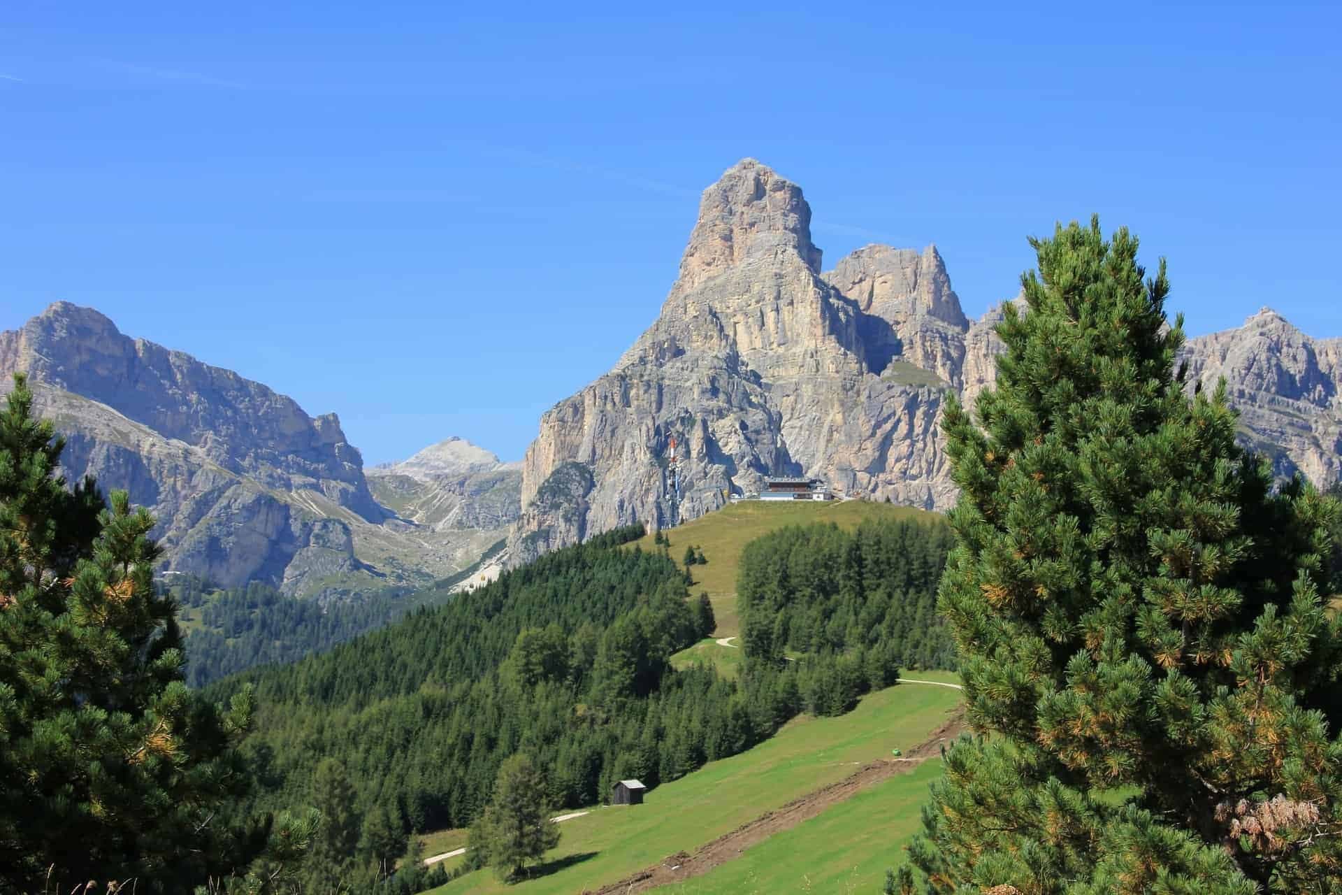 Berglandschap met bomen.