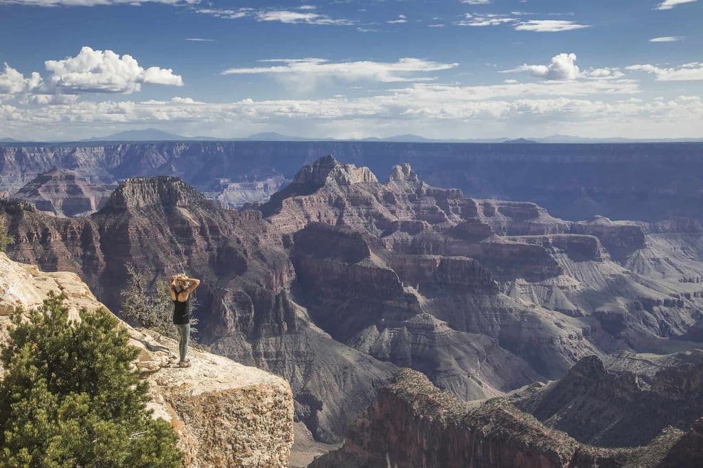 Vrouw staat boven op de Grand Canyon.