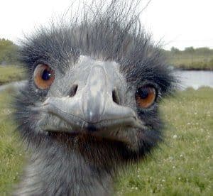 Profielfoto van lid
